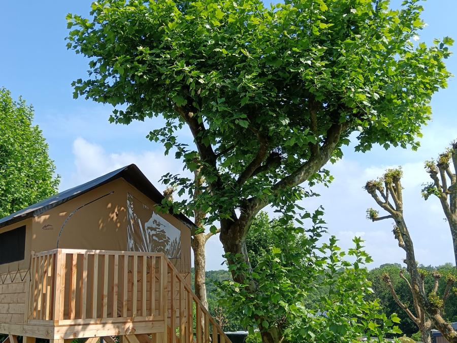 Hébergement 2 personnes - Tente Nature sur pilotis Standard 7.2 m² - sans sanitaire 2