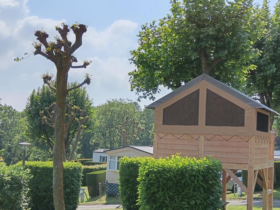 Hébergement 2 personnes - Tente Nature sur pilotis Standard 7.2 m² - sans sanitaire 3