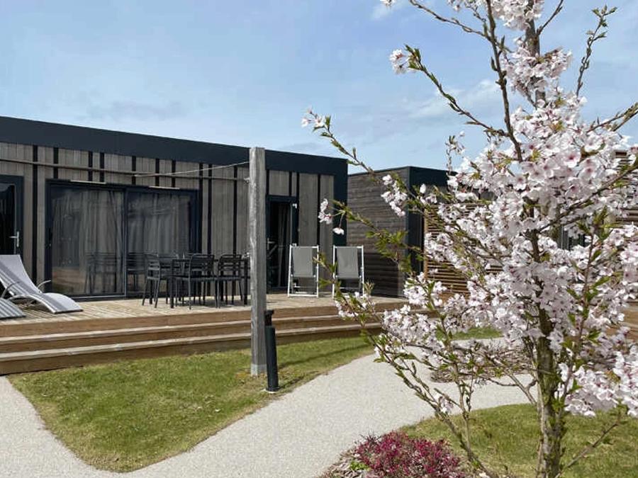 Lodge 6 personnes - Lodge Duo Space 0