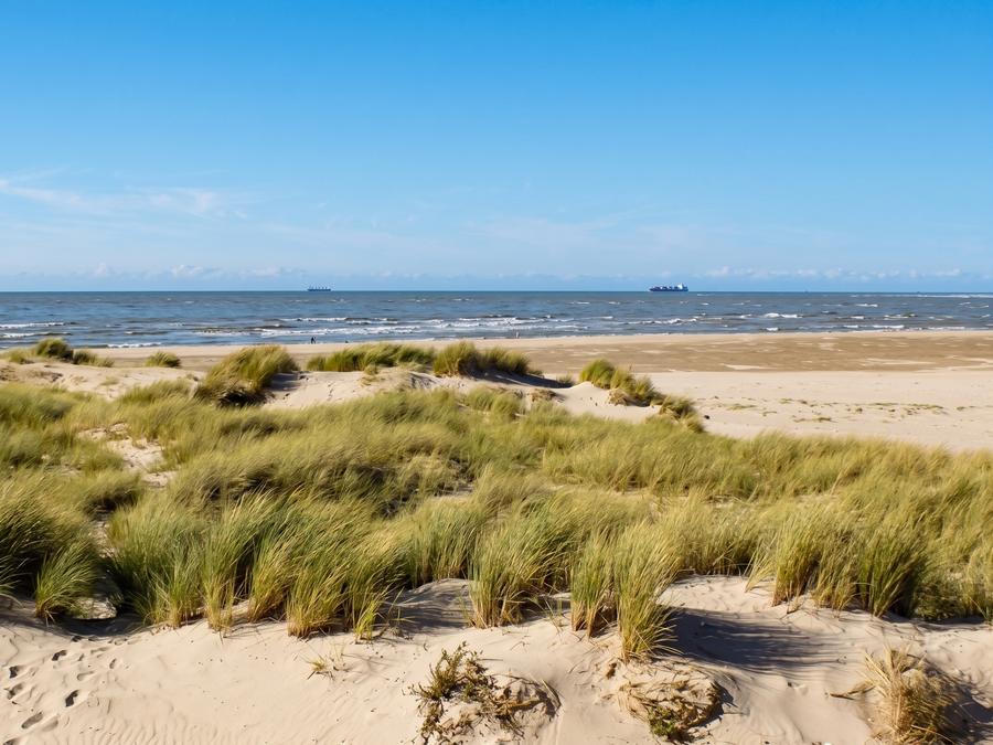 Camping Domaine de La Pinede, 3*