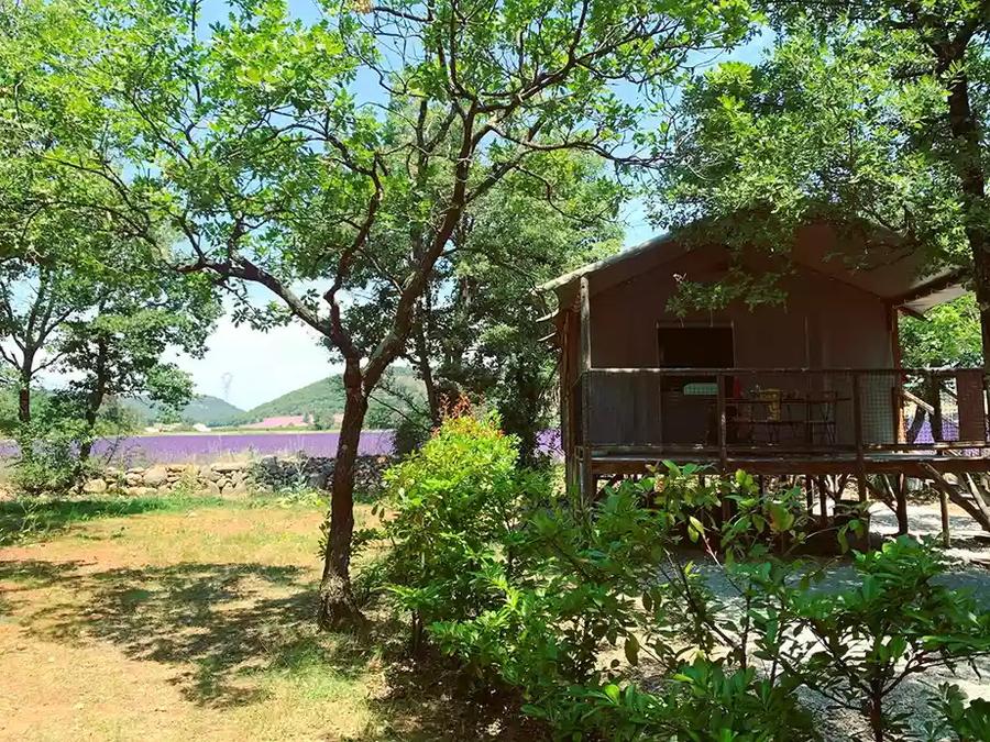 Tente en toile et en bois 4 personnes - Cabane Lodge sur Pilotis Confort 27m² - 2 chambres + terrasse couverte 2