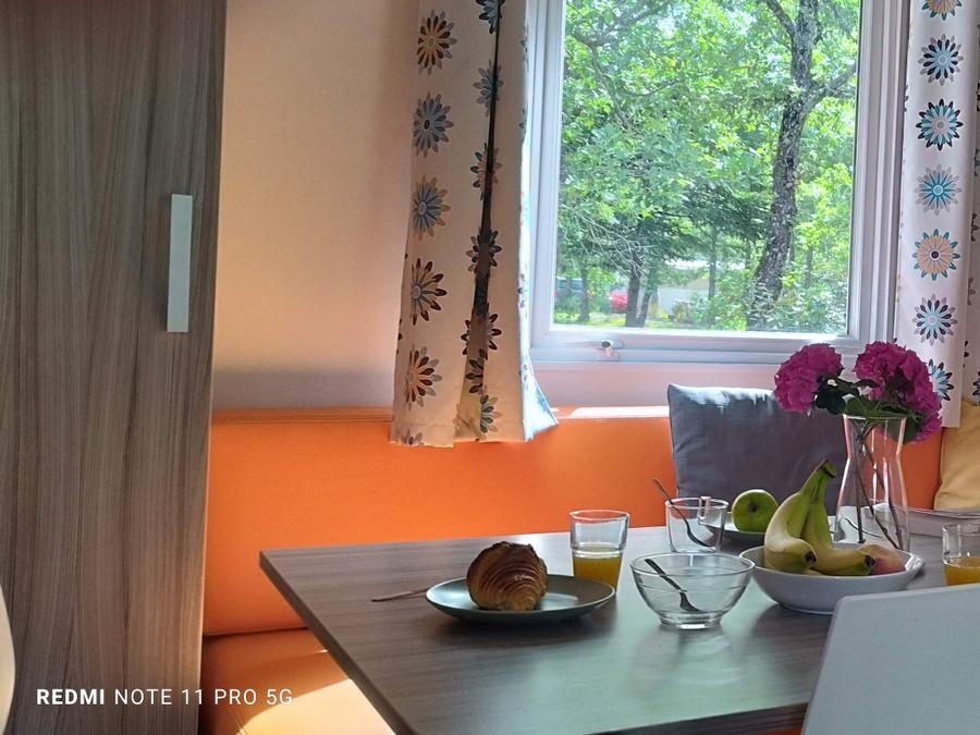 Mobilhome 6 personnes - Mobil home Standard 29m² (3ch - 6pers.) + Terrasse + TV + clim 1