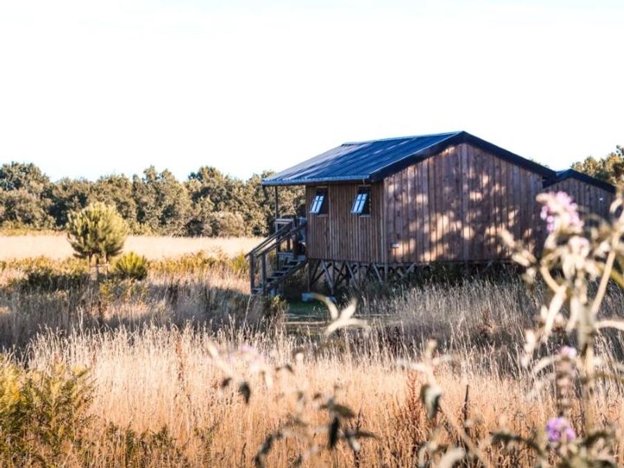 Lodge 4 personnes - Eco -logdes (prix pour 4 personnes) 1
