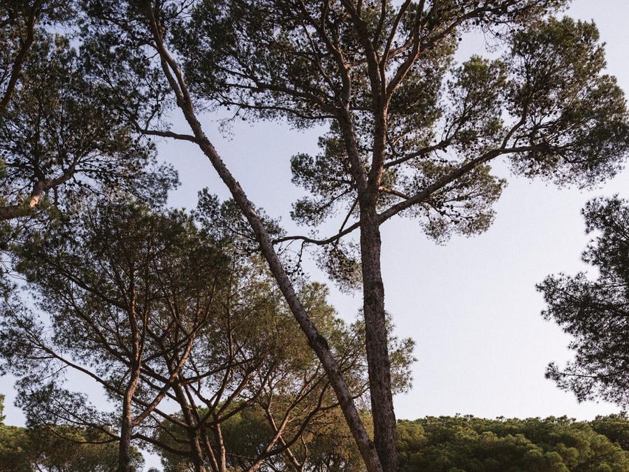 Tente en toile et en bois 2 personnes - Bell Tent Plus 6