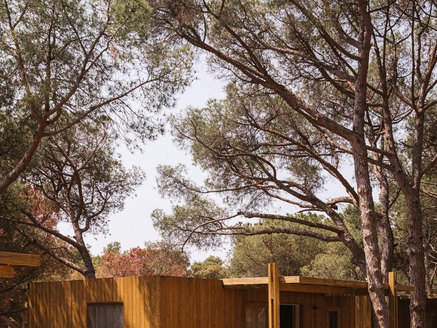 Mobilhome 2 personnes - FAMILY WOOD 1