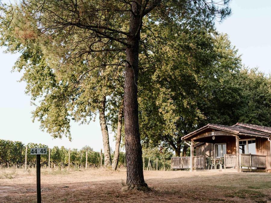 Chalet 2 personnes - Chalet 2 - 40m² - 2 chambres 0