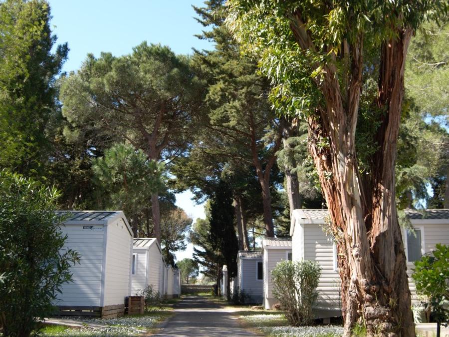 Mobilhome 4 personnes - SUNÊLIA CONFORT PINÈDE 2