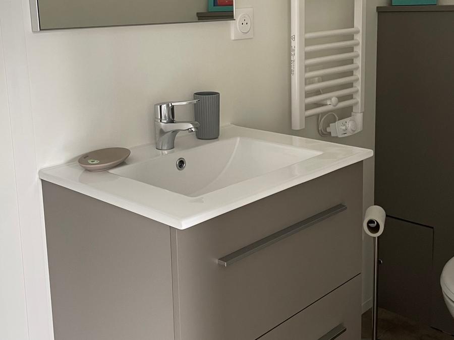Mobilhome 4 personnes - ECOLODGE AU CALME (DF19) - 2 CH - 2 SDB - WIFI - CLIM - PISCINE A L ANNEE 4 pers 9