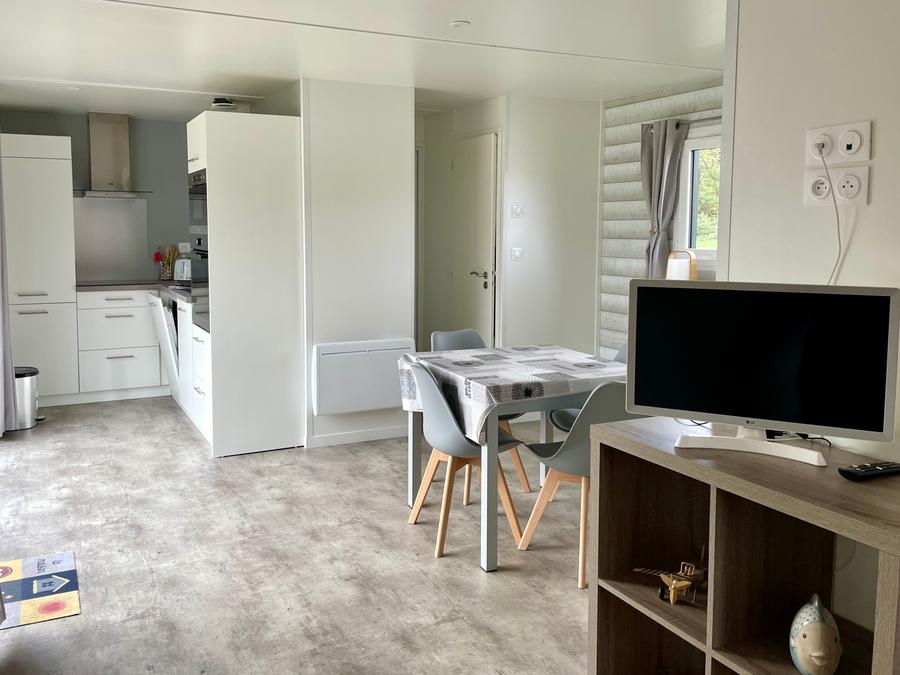 Mobilhome 4 personnes - ECOLODGE AU CALME (DF19) - 2 CH - 2 SDB - WIFI - CLIM - PISCINE A L ANNEE 4 pers 5