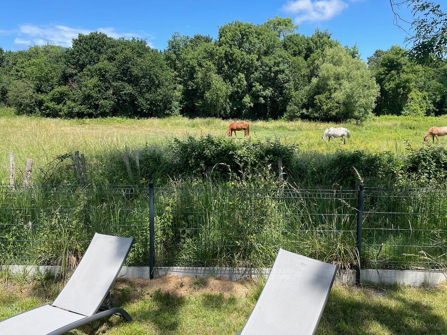 Mobilhome 4 personnes - ECOLODGE AU CALME (DF19) - 2 CH - 2 SDB - WIFI - CLIM - PISCINE A L ANNEE 4 pers 11
