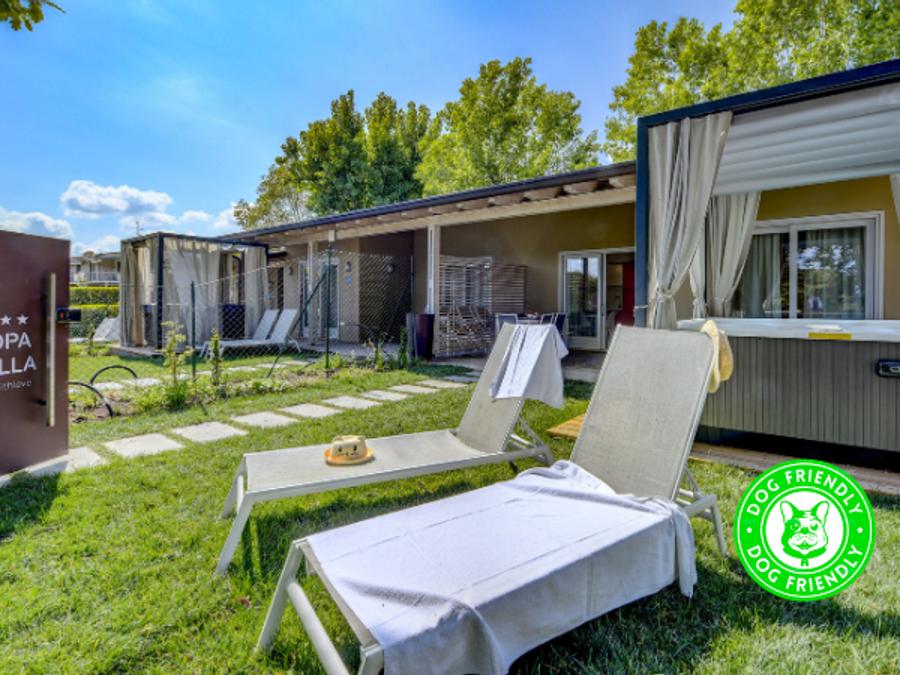 Appartement 6 personnes - MIMOSA (avec un petit jardin) 18