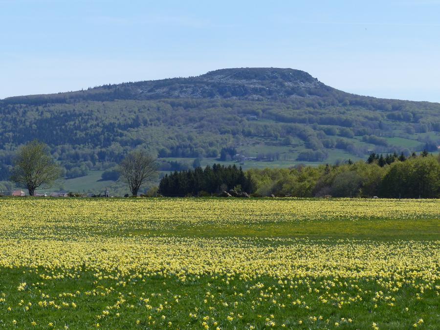Résidence Domaine des Vans