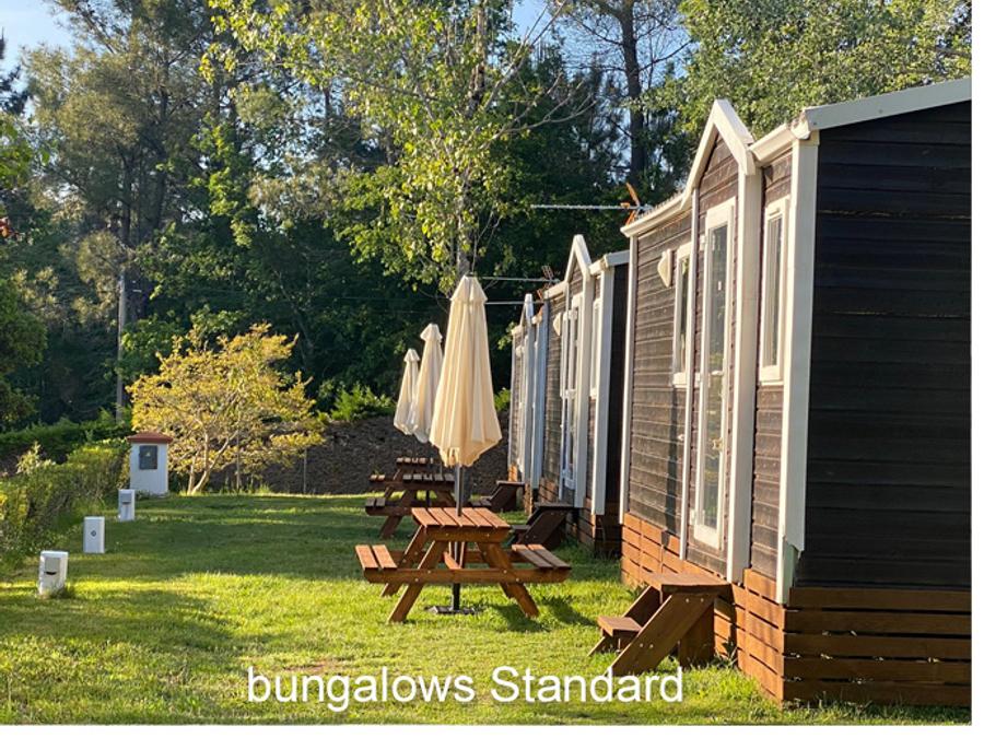 Bungalow 4 personnes - Bungalow standard 0