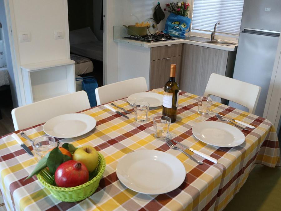 Mobilhome 4 personnes - MOBILHOME CONFORT AVEC DEUX SALLES DE BAINS 1