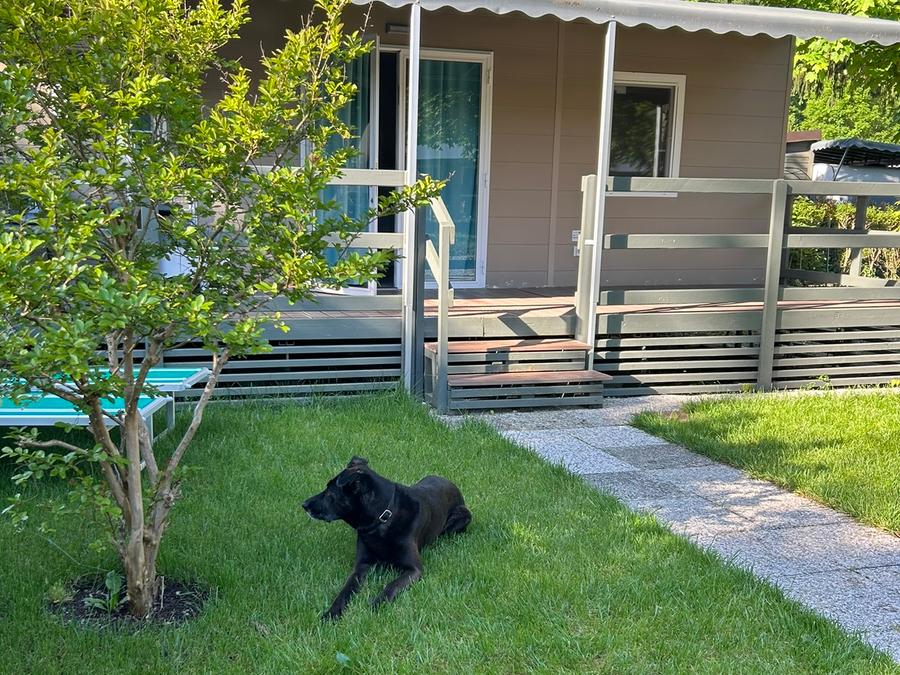 Mobilhome 4 personnes - MOBILHOME BELLA AVEC DEUX SALLES DE BAINS 0