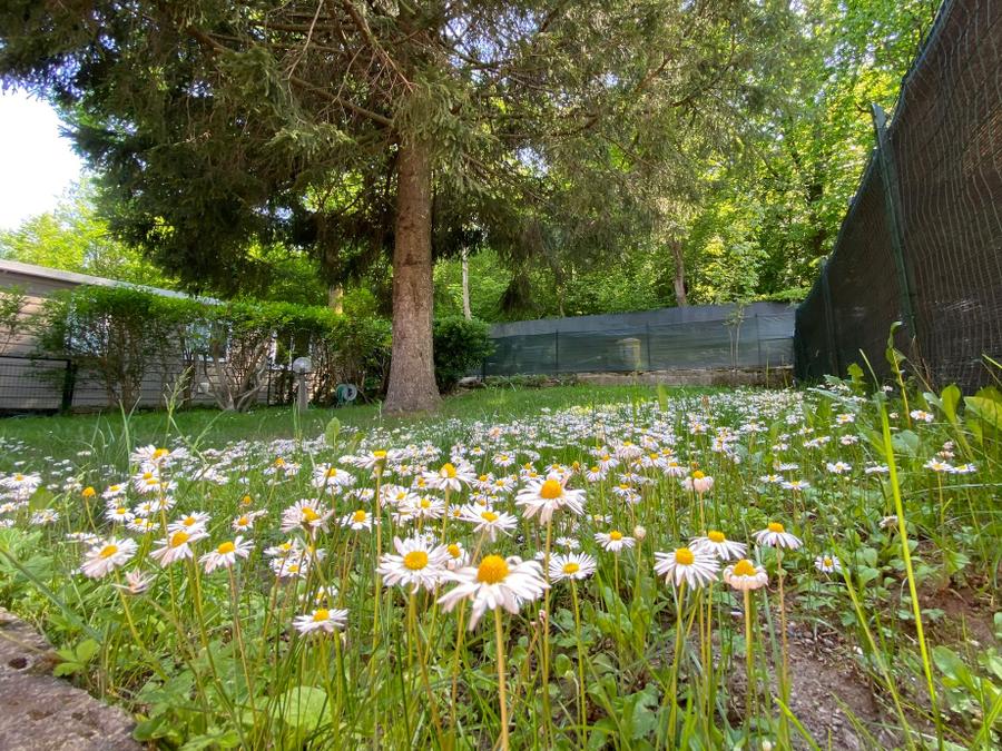 Chalet 5 personnes - Chalet Arancio 7