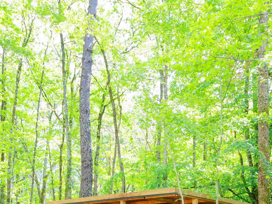 Chalet 4 personnes - FORÊT - 2 chambres 1