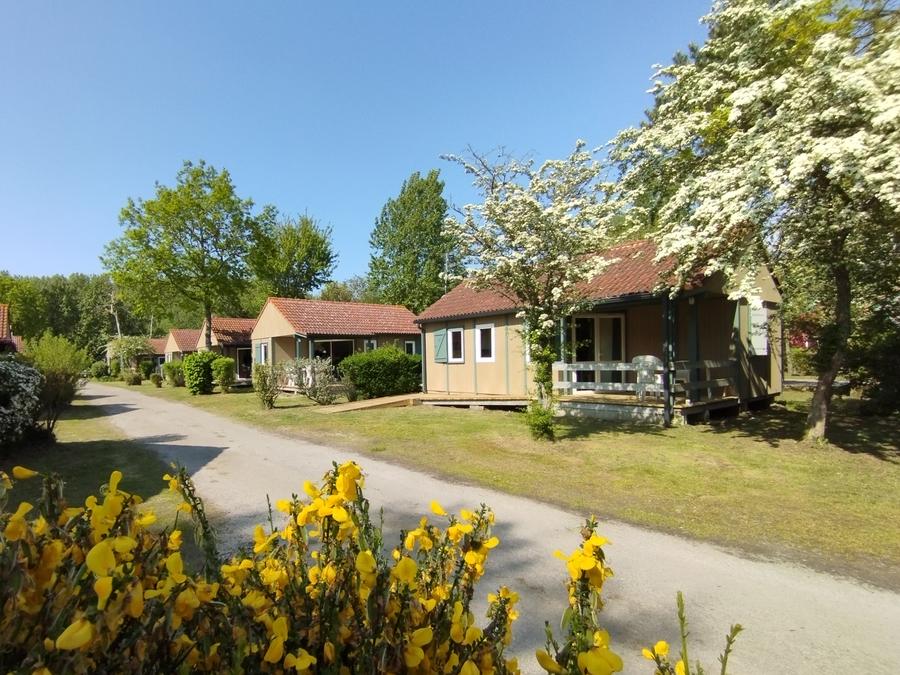 Camping L'Orée du Bois 4*