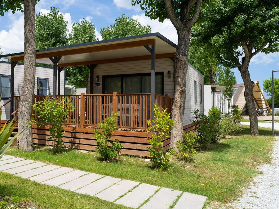 Lodge 4 personnes - Lodge superior Animaux Admis 6