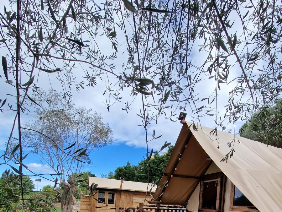 Tente en toile et en bois 4 personnes - Safari Lodge 0