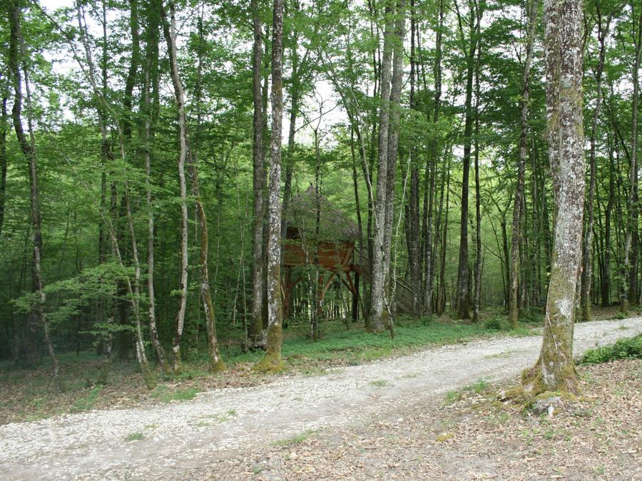 Hébergement 4 personnes - Cabane aux Fées (16 m²) 5