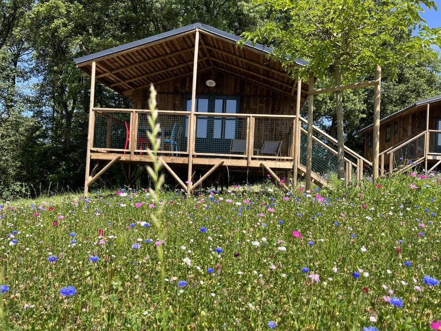 Lodge 5 personnes - Cabane Lodge Familiale (29 m² - 2 ch) 1