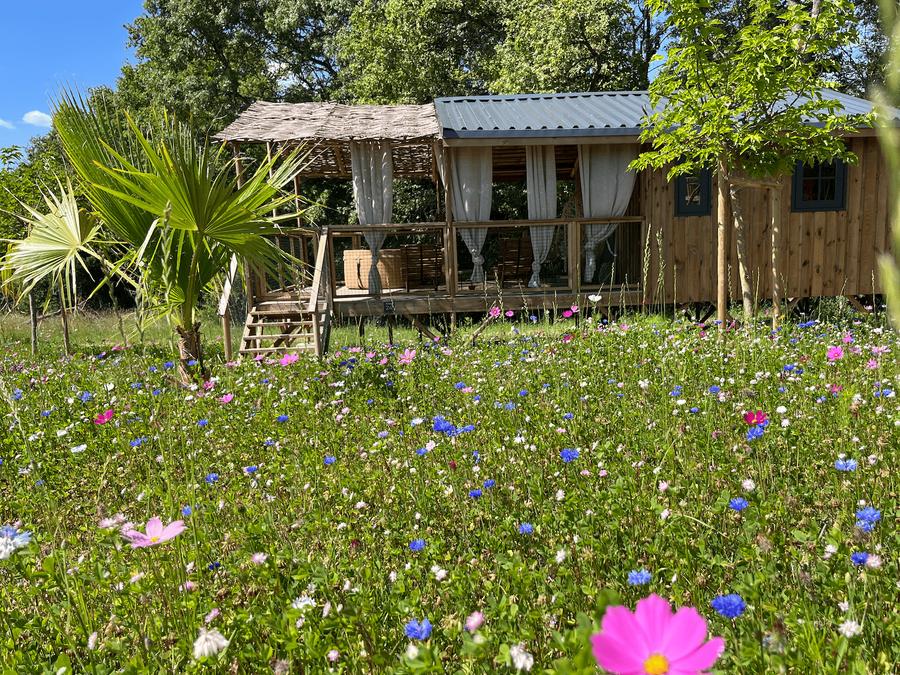 Lodge 2 personnes - Cabane Lodge duo SPA (17 m² - 1 ch) 3