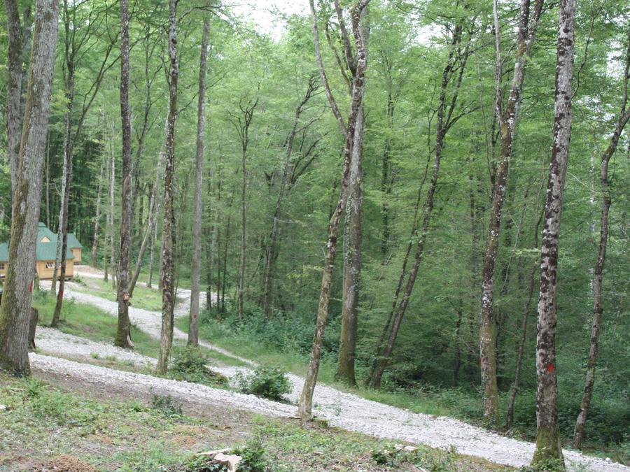 Hébergement 2 personnes - Kota duo (12 m2) 4