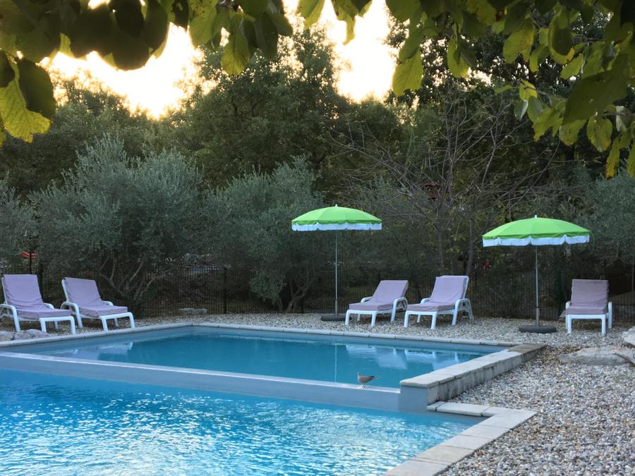 Hébergement 2 personnes - Le POD : la cabane 100 % nature / avec petit déjeuner / 2 pers inclus / Spa privatif en option 11