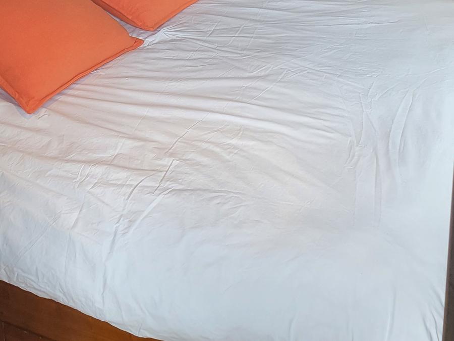 Lodge 2 personnes - Roulotte hôtelière climatisée avec petit déjeuner / Spa privatif en option 4