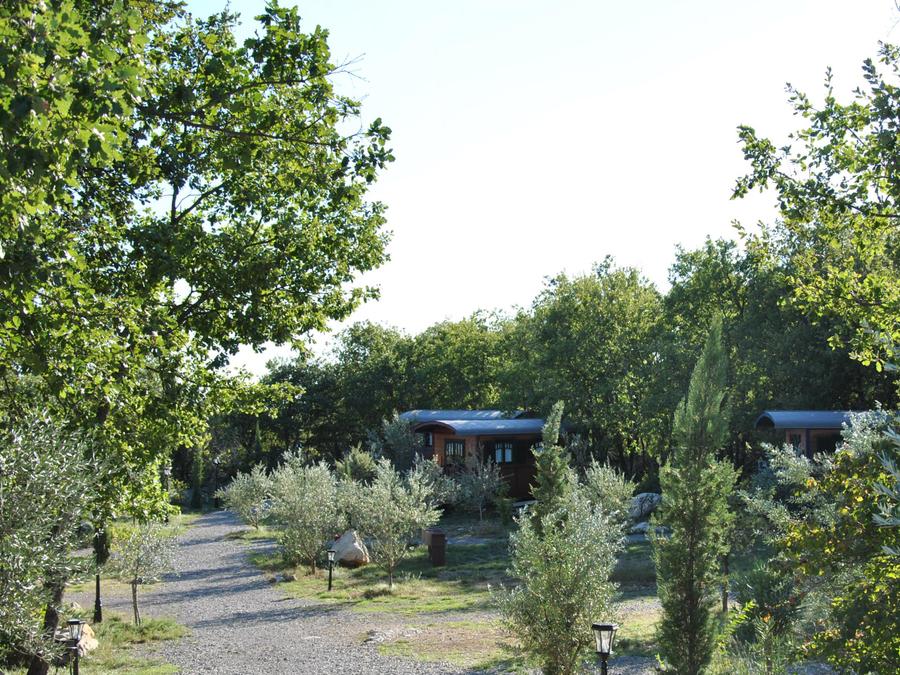 Lodge 3 personnes - Roulotte ( Séjour Premium ) climatisée/ tout inclus version luxe avec Spa privatif / 2 pers inclus 8