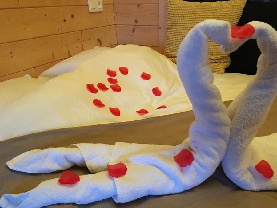 Hébergement 2 personnes - Suite Nid d'Amour et Spa ( le raffinement ultime à la cime des arbres spécial couple ) / 2 pers inclus 6