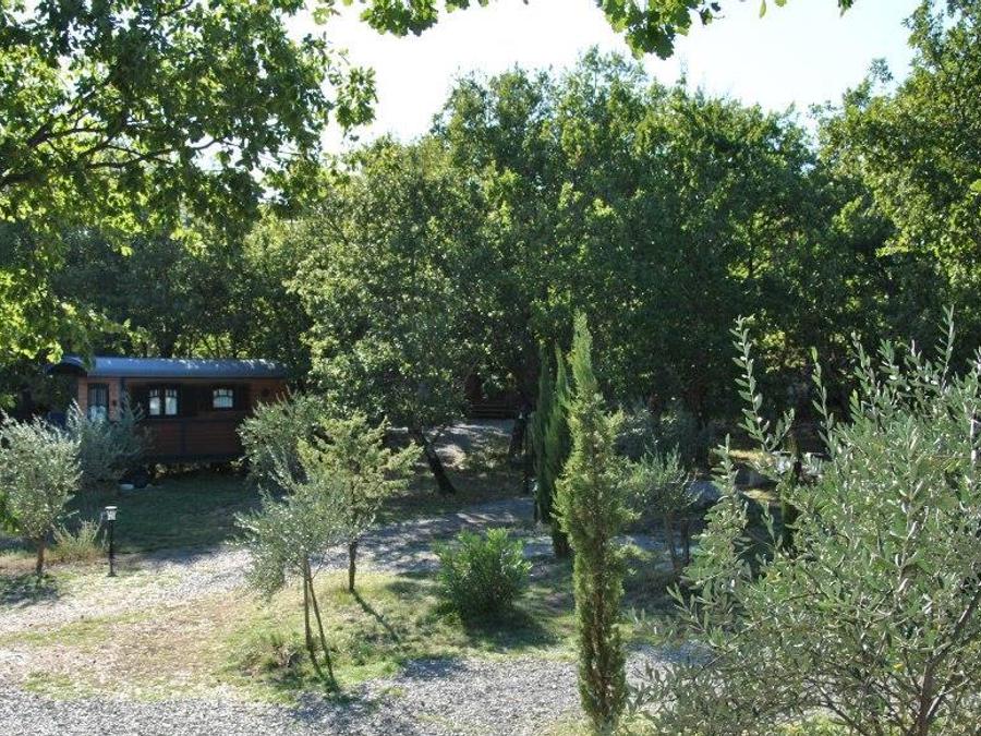 Hébergement 2 personnes - Cabane Forestière climatisée ( avec petit déjeuner et Spa privatif accès illimité ) / 2 pers inclus 12