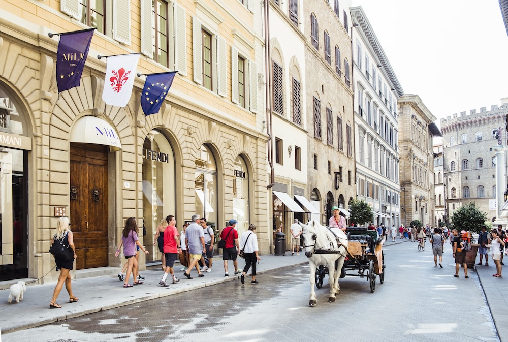 Hôtel Milu 4*