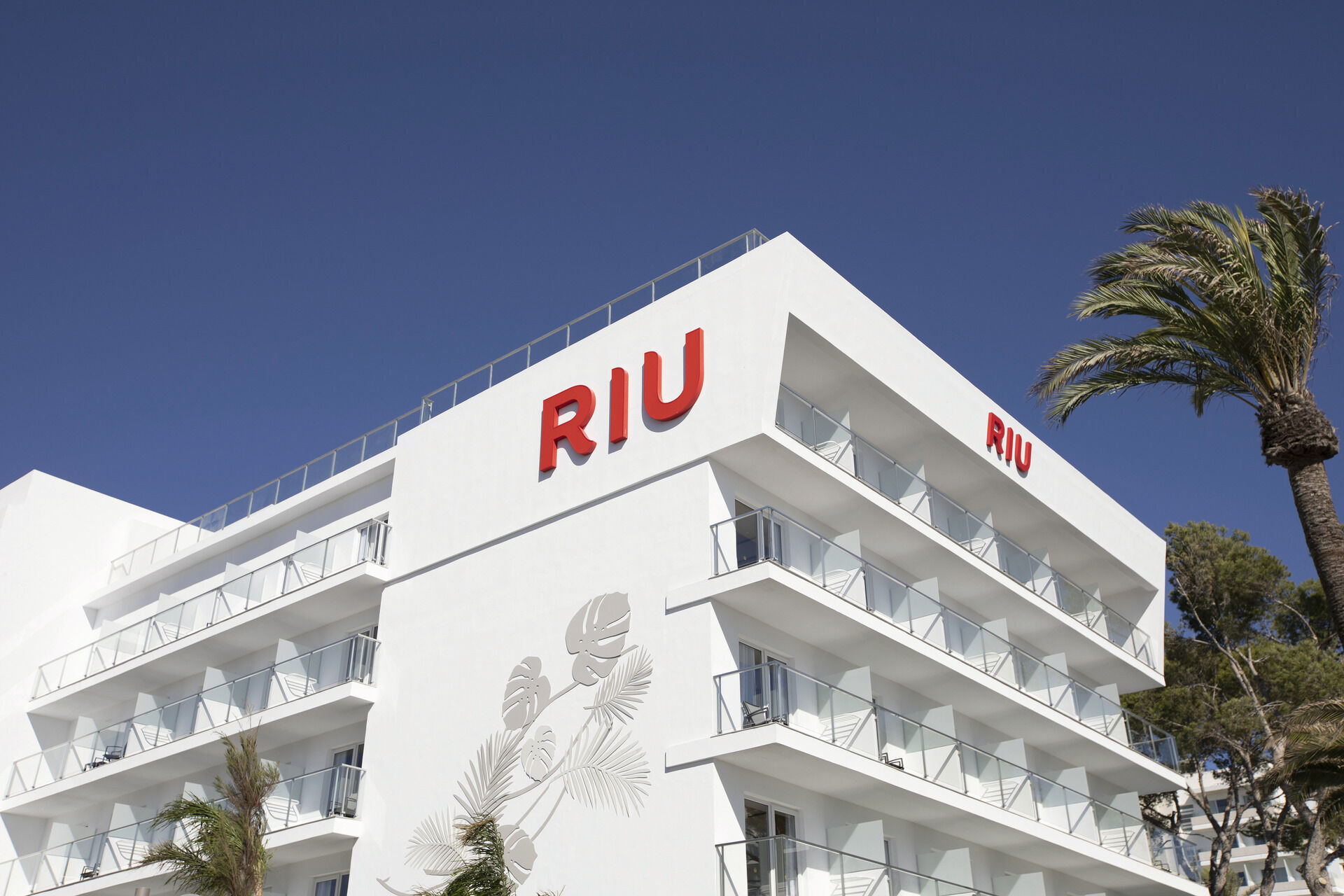 Hôtel Riu Concordia 4*