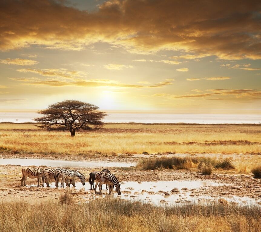 Circuit I Love Afrique du Sud - Vols Qatar Airways