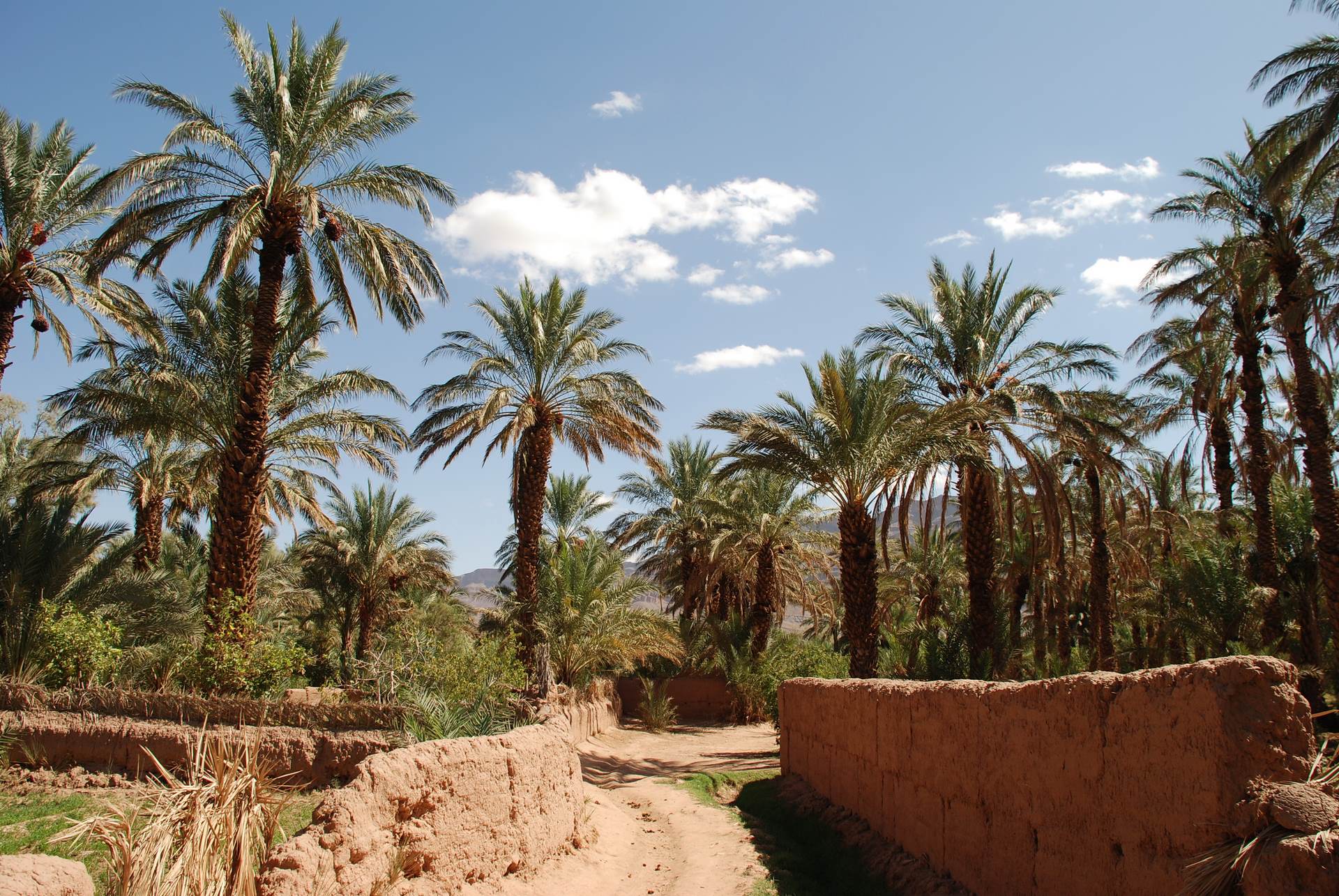 Circuit Grand Sud et Kasbah en 4x4 en 4*