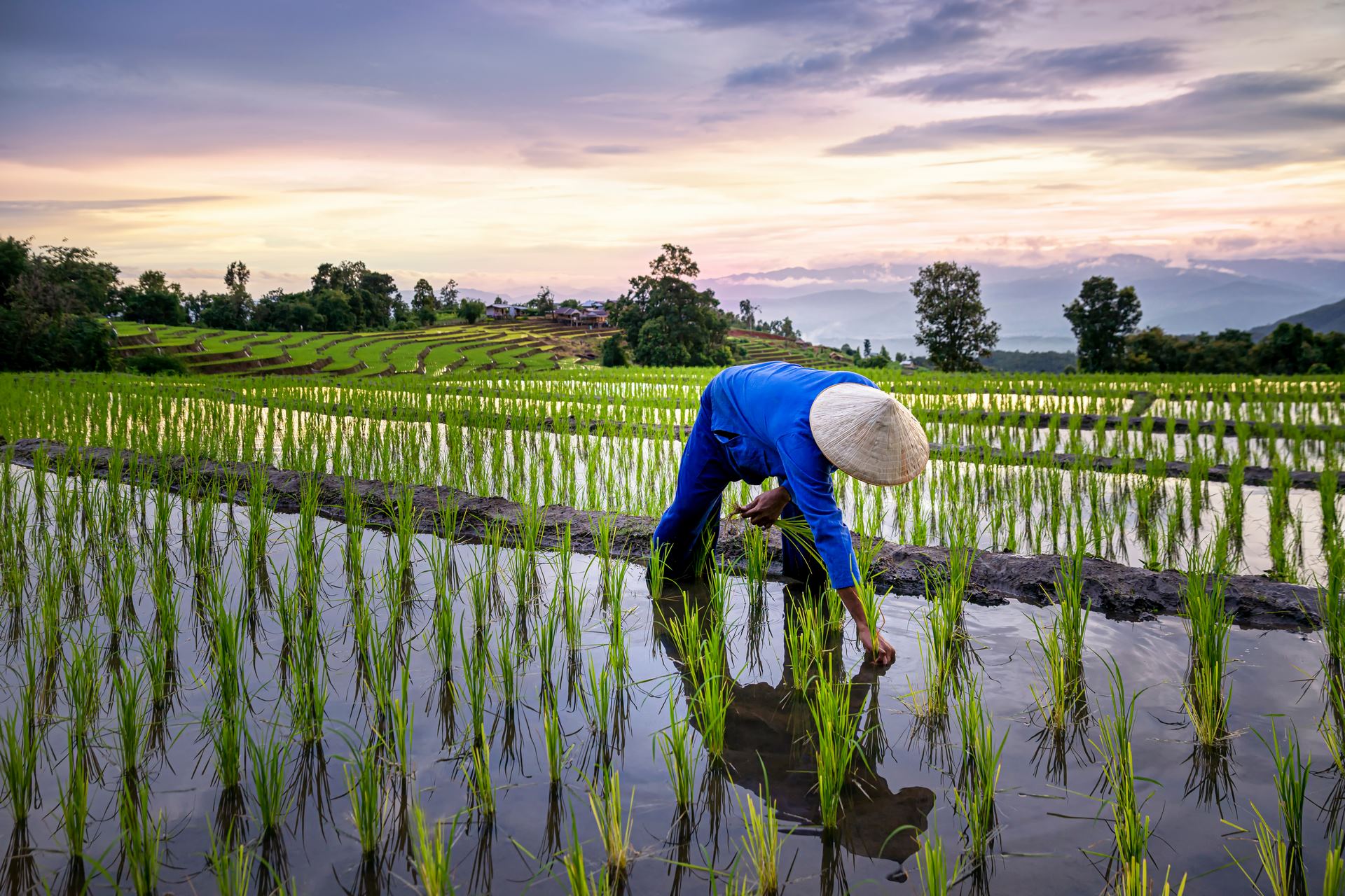 Circuit Incontournables du Vietnam en Privatif