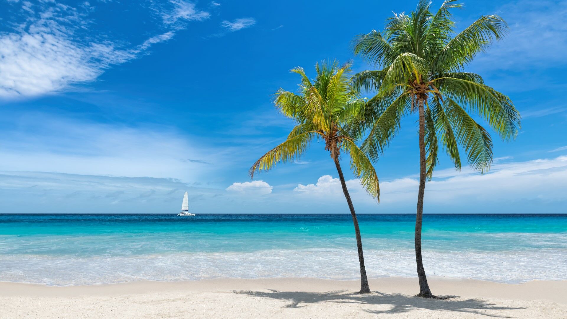 Circuit Floride & Croisière MSC aux Bahamas