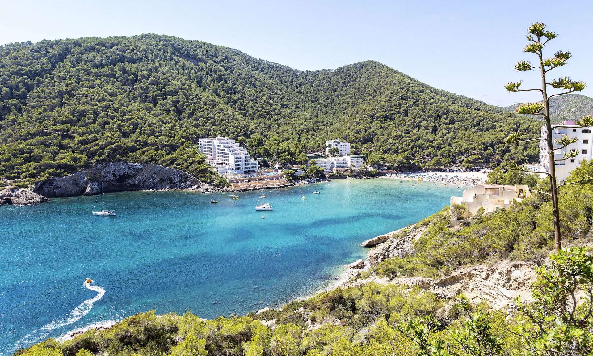 Hôtel Palladium Cala Llonga 4* - Adult Only