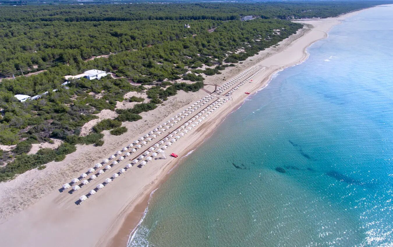 Hôtel Alborea Ecolodge Resort 5* - Arrivée Bari