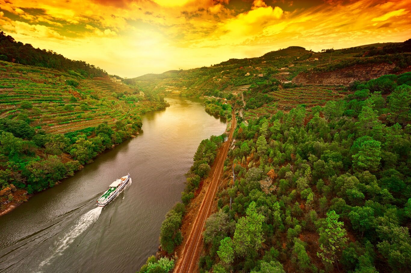 Croisière Au Fil du Douro - MS Queen Isabel