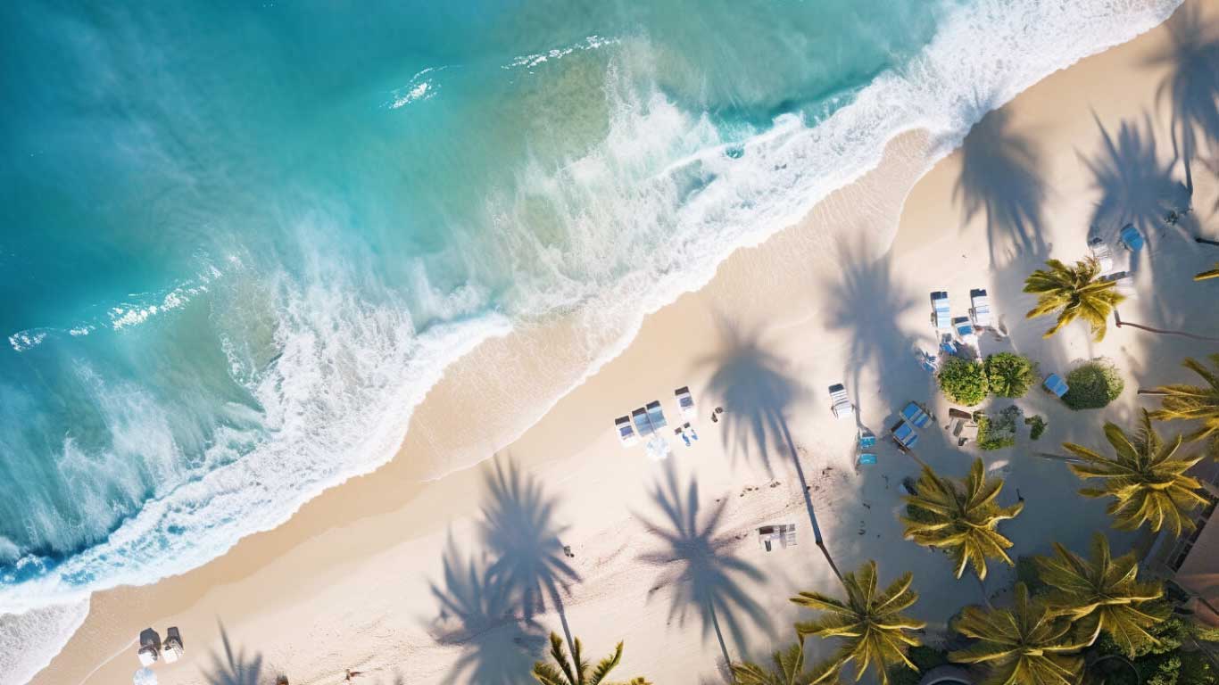 Hôtel Oasis Palm 4*
