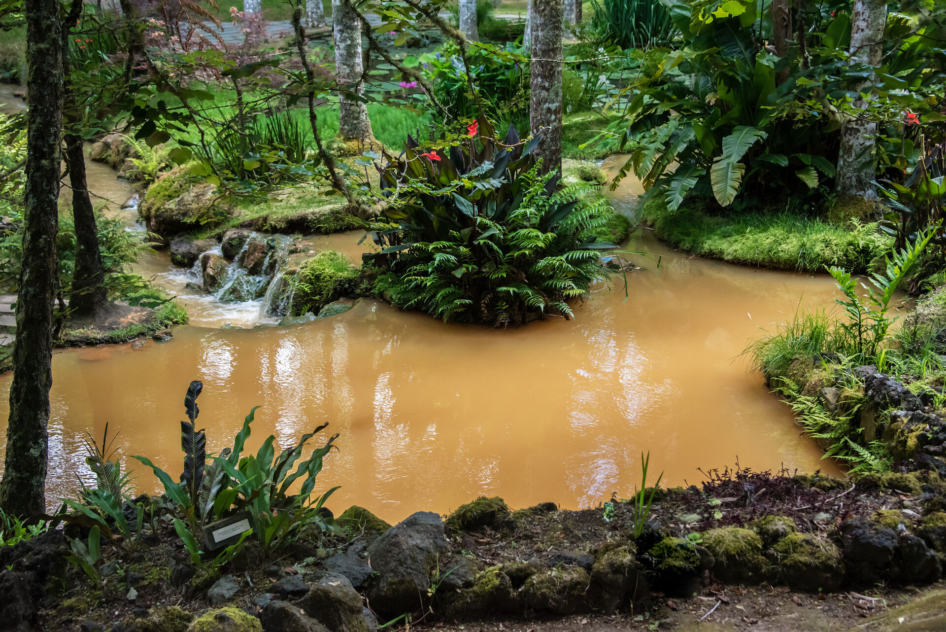 PONTA DELGADA - VALLÉE DE FURNAS - FURNAS 0