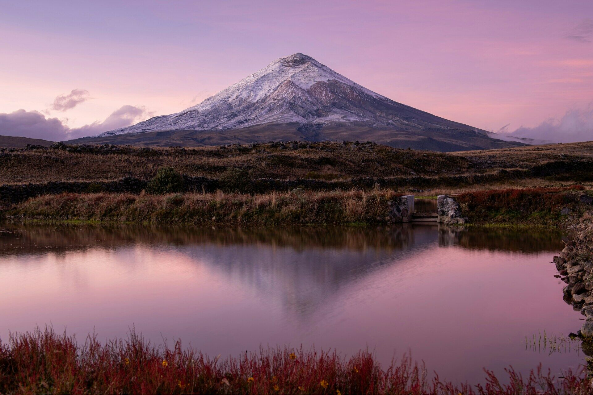 CHASQUI - COTOPAXI - CHASQUI 0