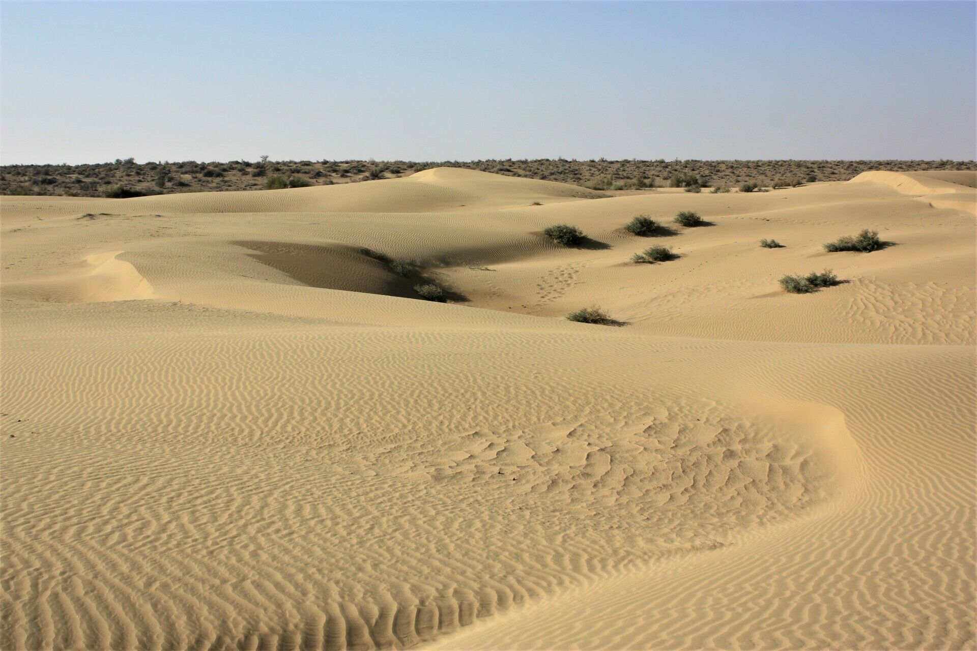 JODHPUR - JAISALMER 0