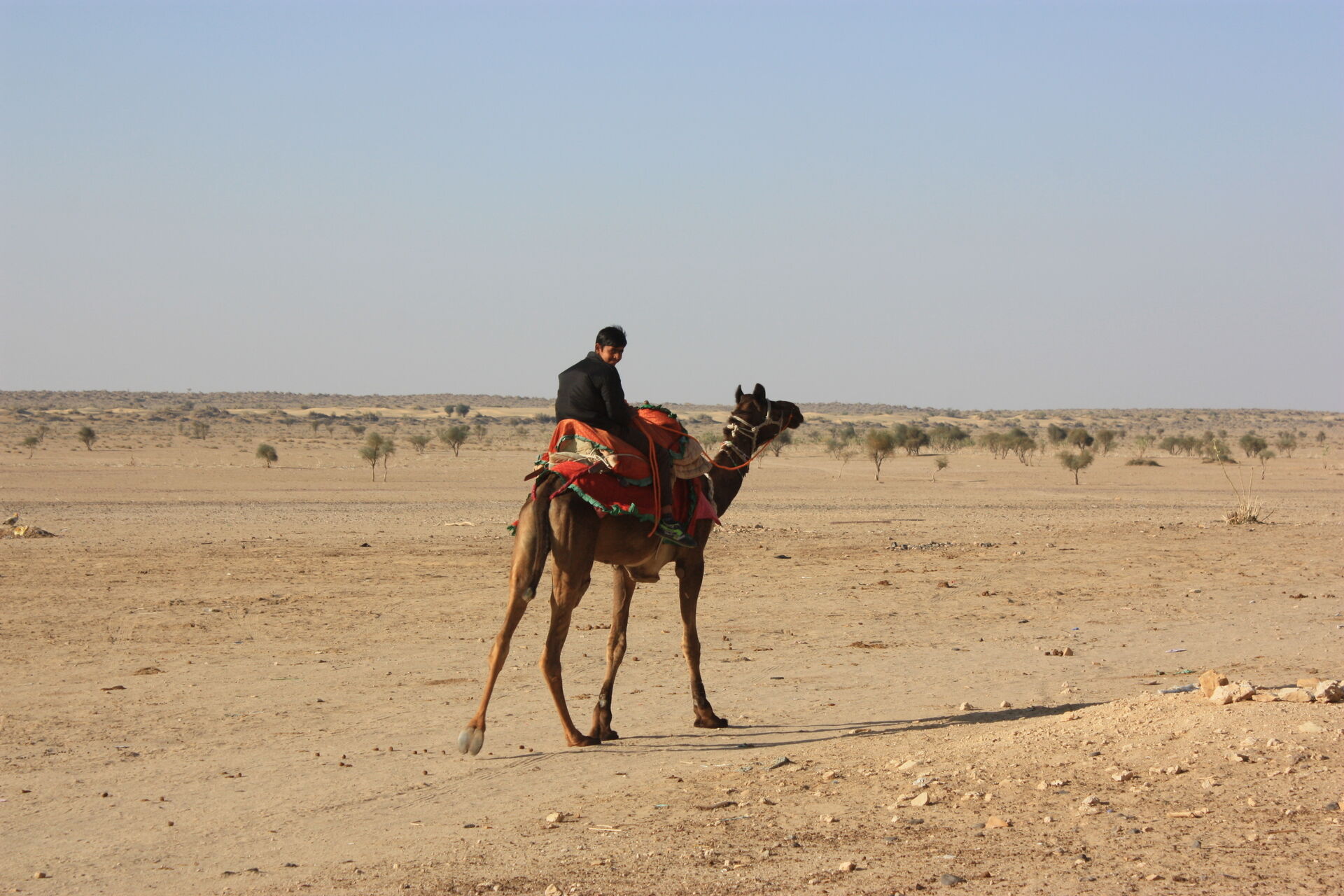 JAISALMER 0