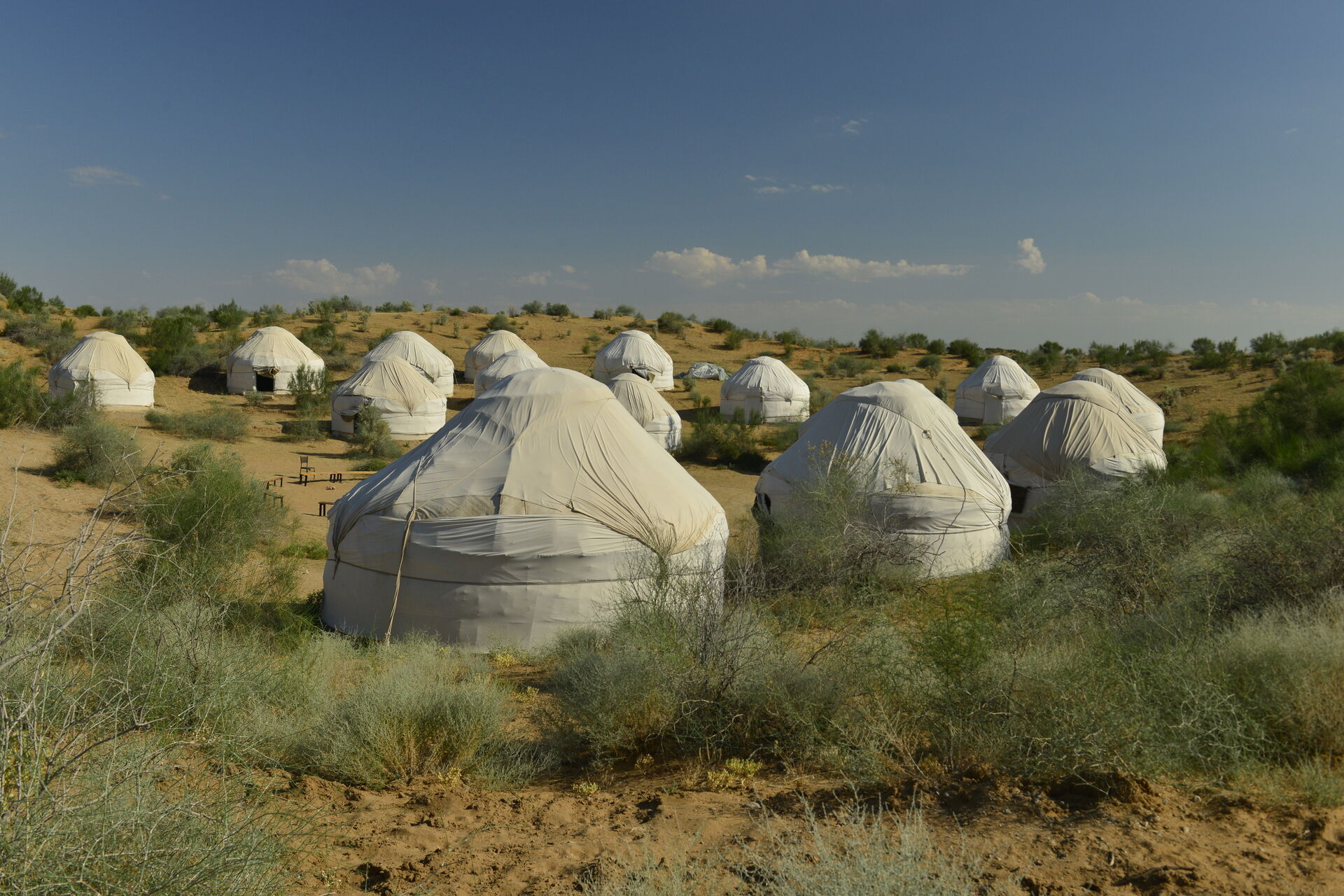ASHRAF - DÉSERT DE KYZYLKOUM 0