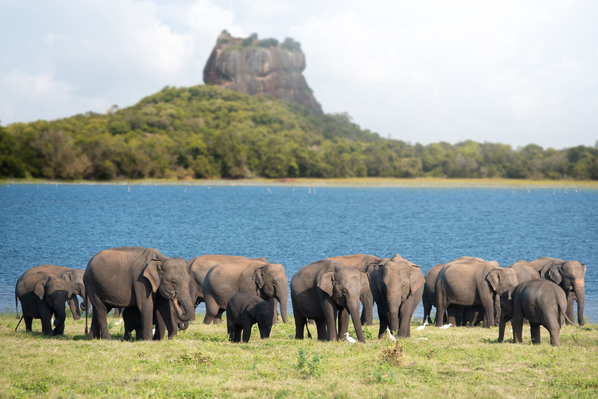SIGIRIYA - TRINCOMALEE - NILAVELI 0