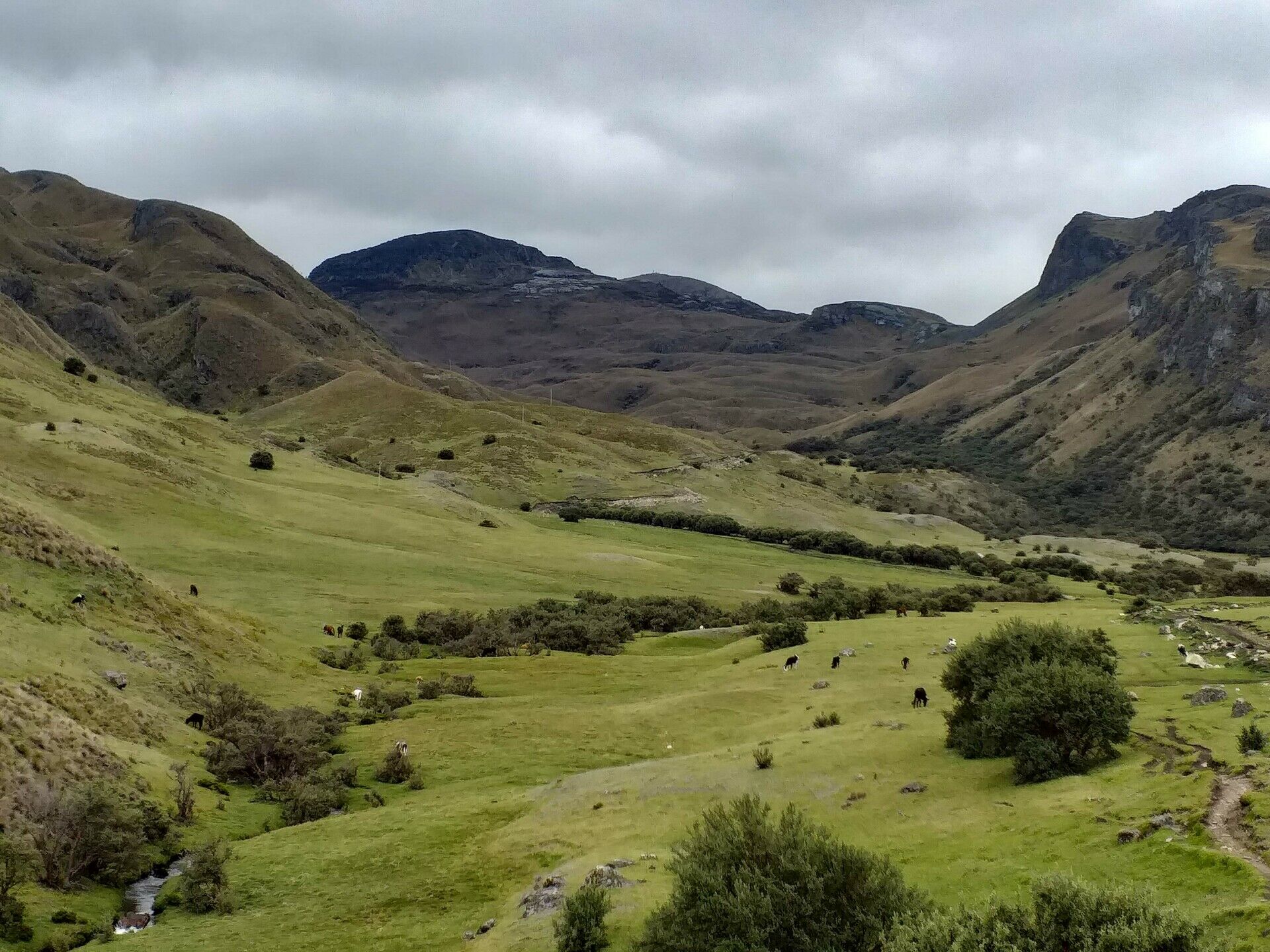 RIOBAMBA  - CHIMBORAZO  - CAGUANAPAMBA 0